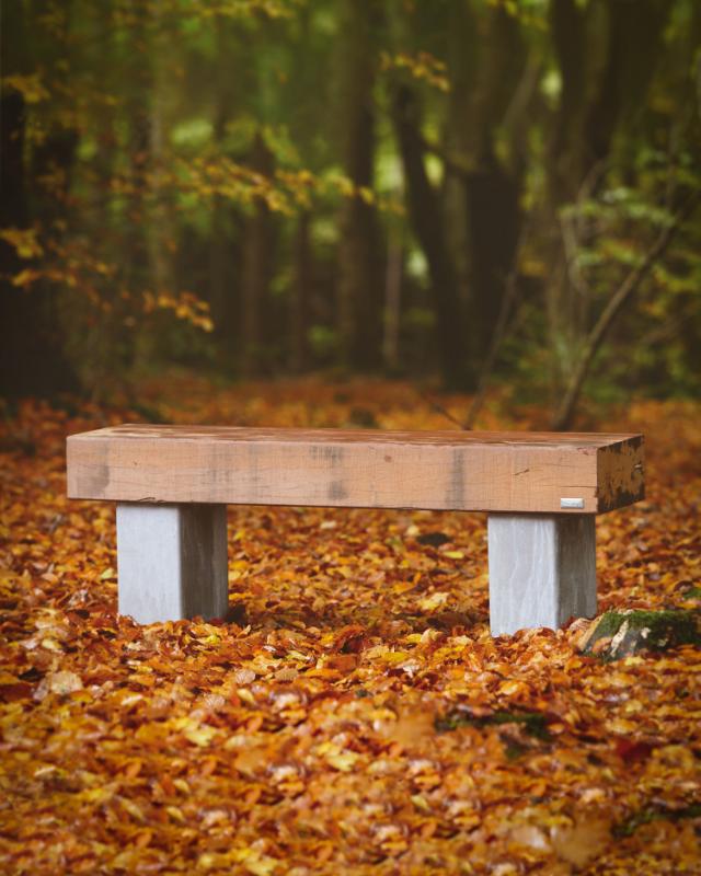 BETA bench