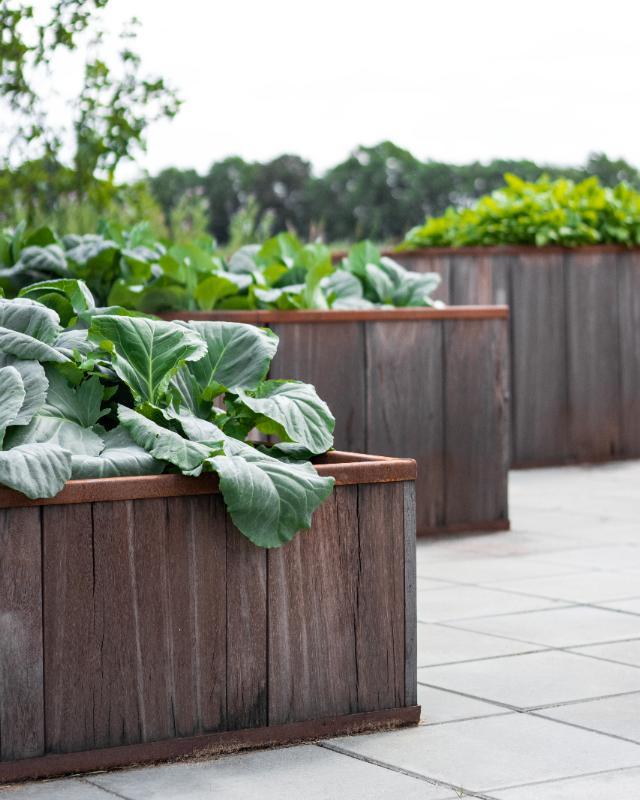 FREJ raised bed