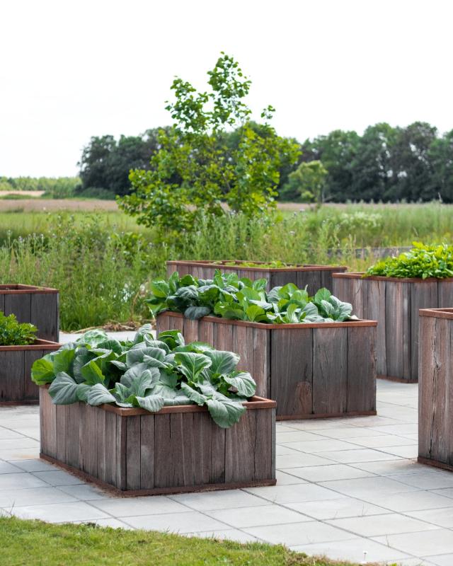 FREJ raised bed