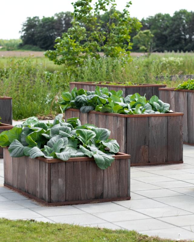 FREJ raised bed